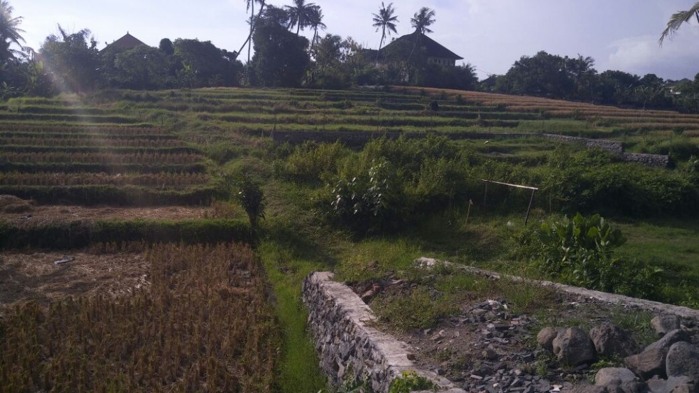 Lahan Rare di Lokasi Sempurna