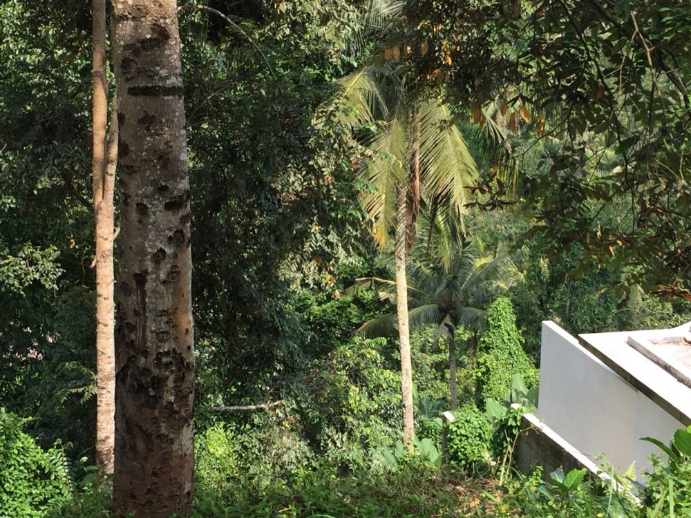 belle vue à louer à Bangkiang Sidem-Kliki, Ubud