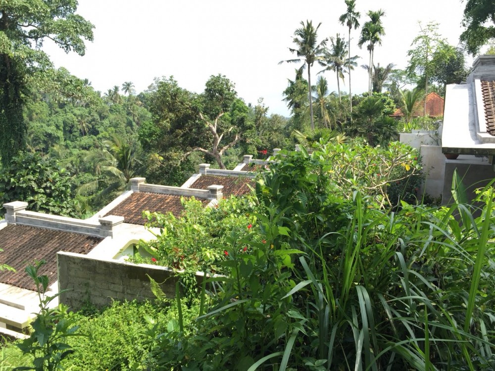 belle vue à louer à Bangkiang Sidem-Kliki, Ubud