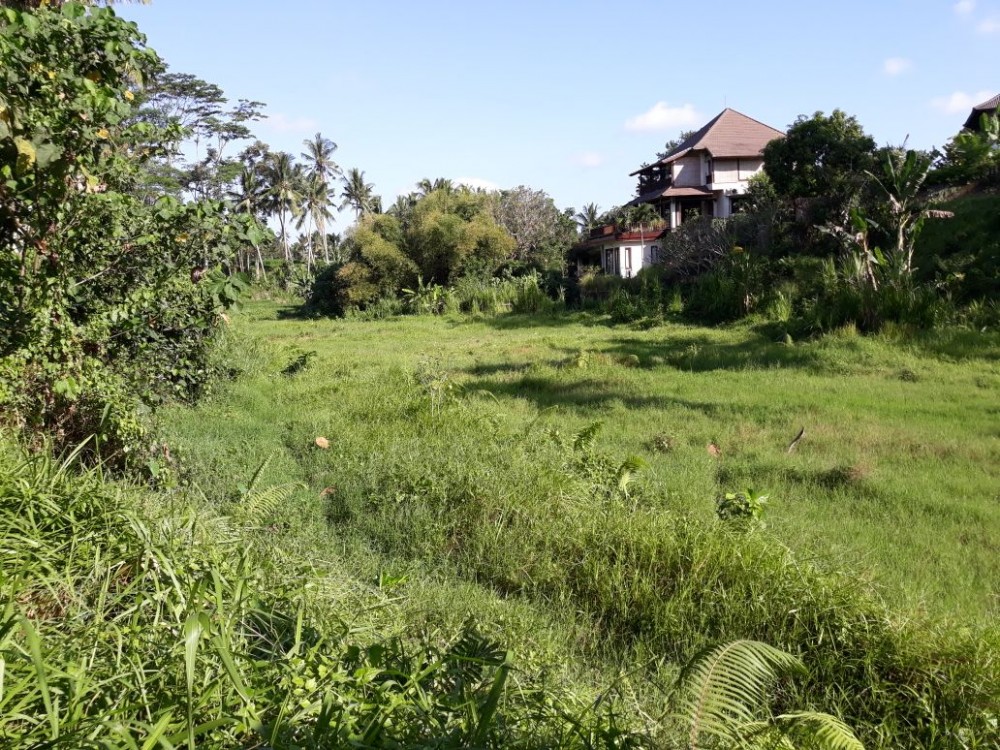 Belle terre en kutuh-sayan ubud