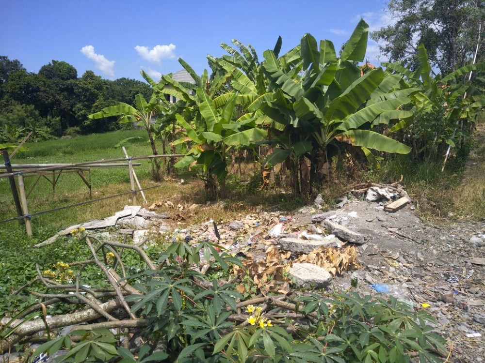 Lahan kecil yang langka dengan pemandangan sawah