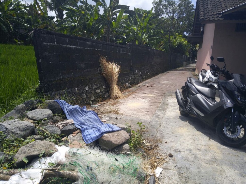 Lahan kecil yang langka dengan pemandangan sawah