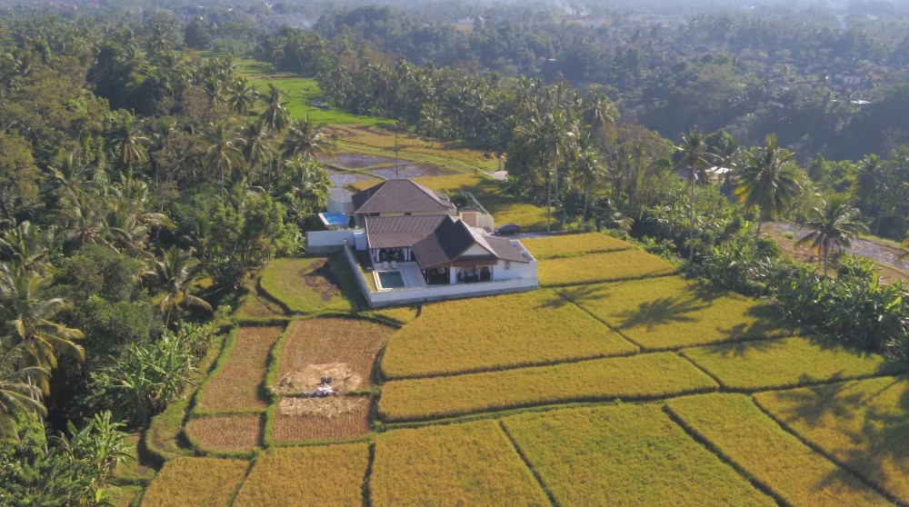 VILLA NEUVE AVEC JUNGLE VUE PROCHE DU CENTRE UBUD