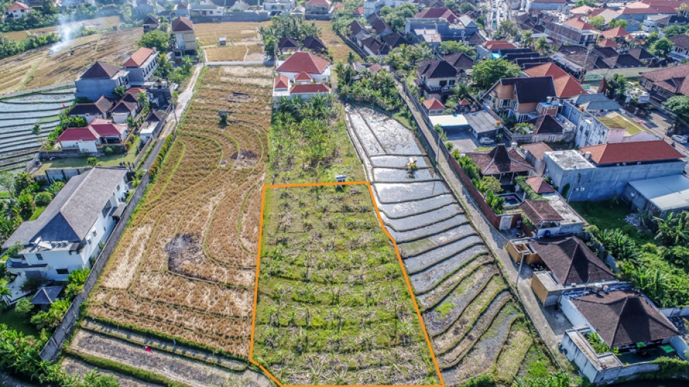 Great leasehold land for sale in Canggu 