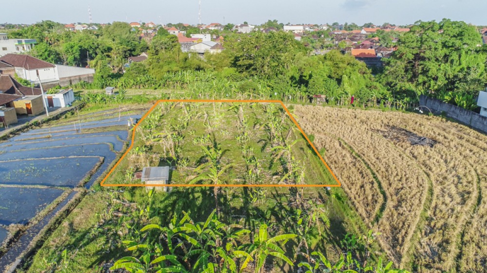 Great leasehold land for sale in Canggu 