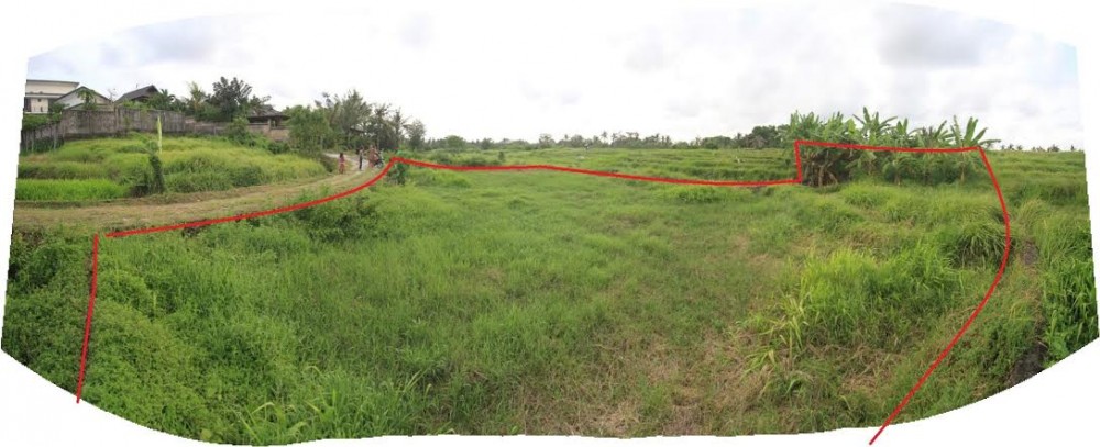 Amazing Rice Paddy View Terrains à vendre