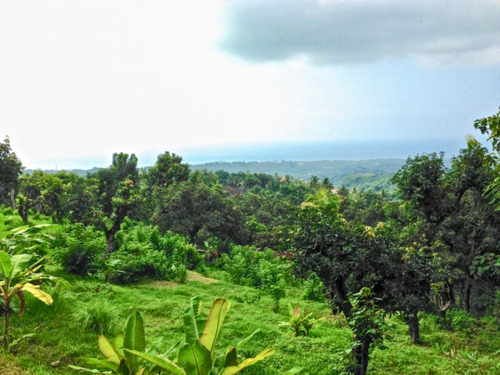 Ocean View Spacious Freehold Terrain à vendre à Lovina