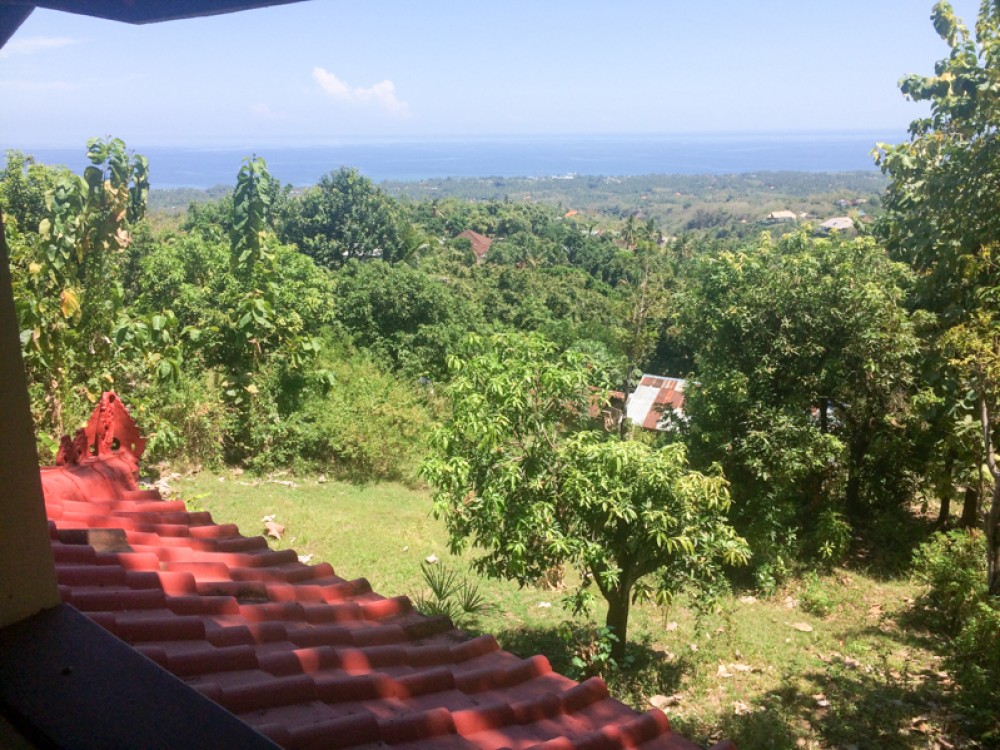 Ocean View Spacious Freehold Land for Sale in Lovina