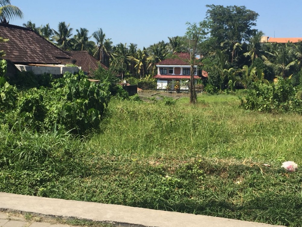 Terrain stratégique à vendre et à la ferme d'ubud central