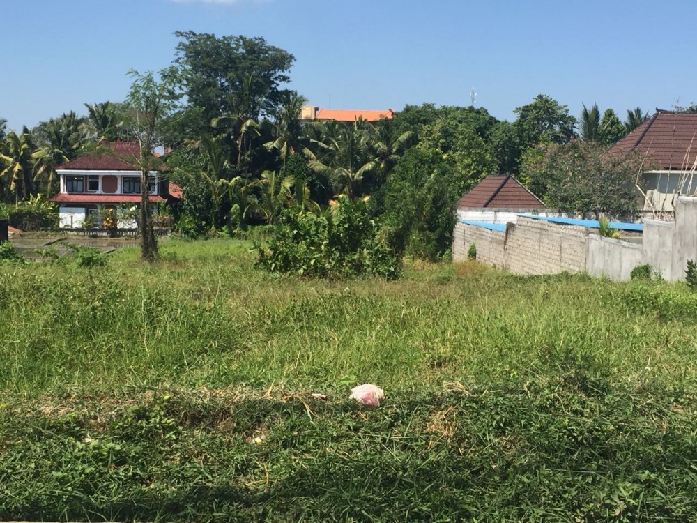 Strategic land for sale and the closes from ubud central