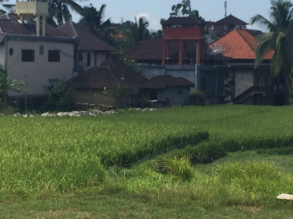 Terrain stratégique à vendre et à la ferme d'ubud central