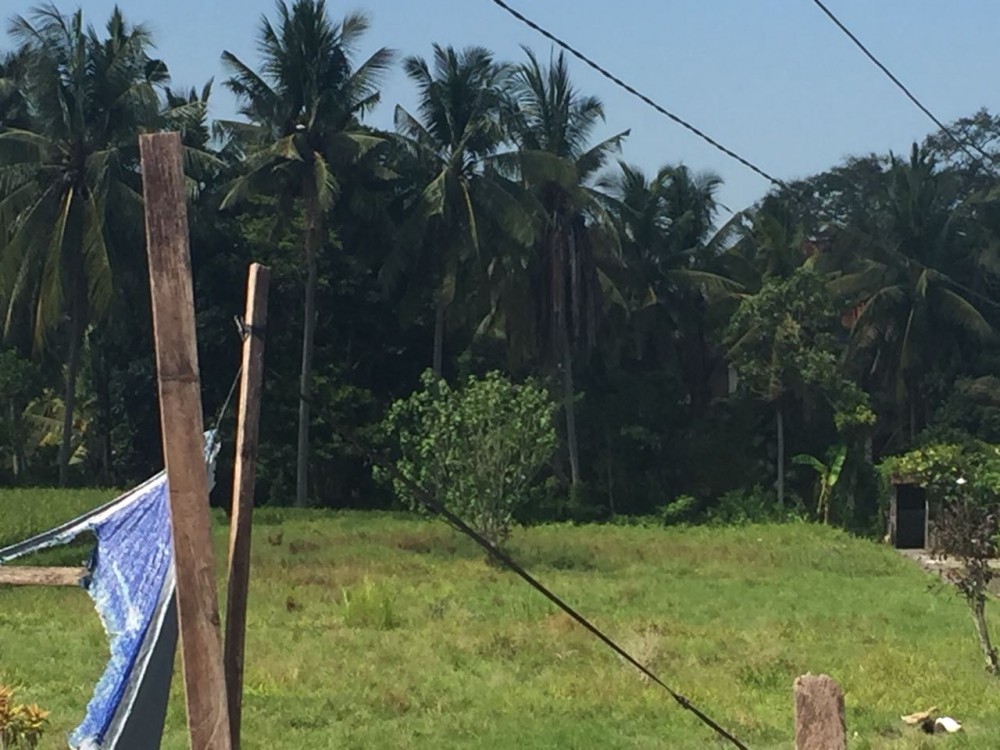 Terrain stratégique à vendre et à la ferme d'ubud central