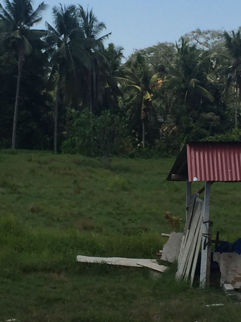 Strategic land for sale and the closes from ubud central