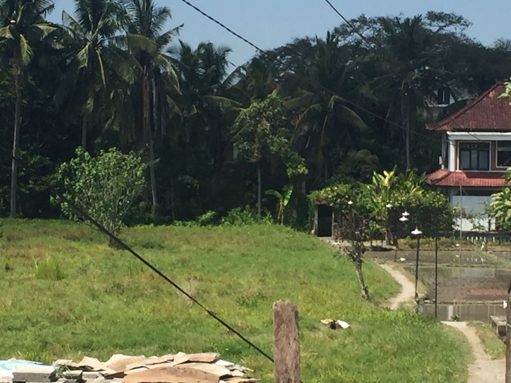 Terrain stratégique à vendre et à la ferme d'ubud central