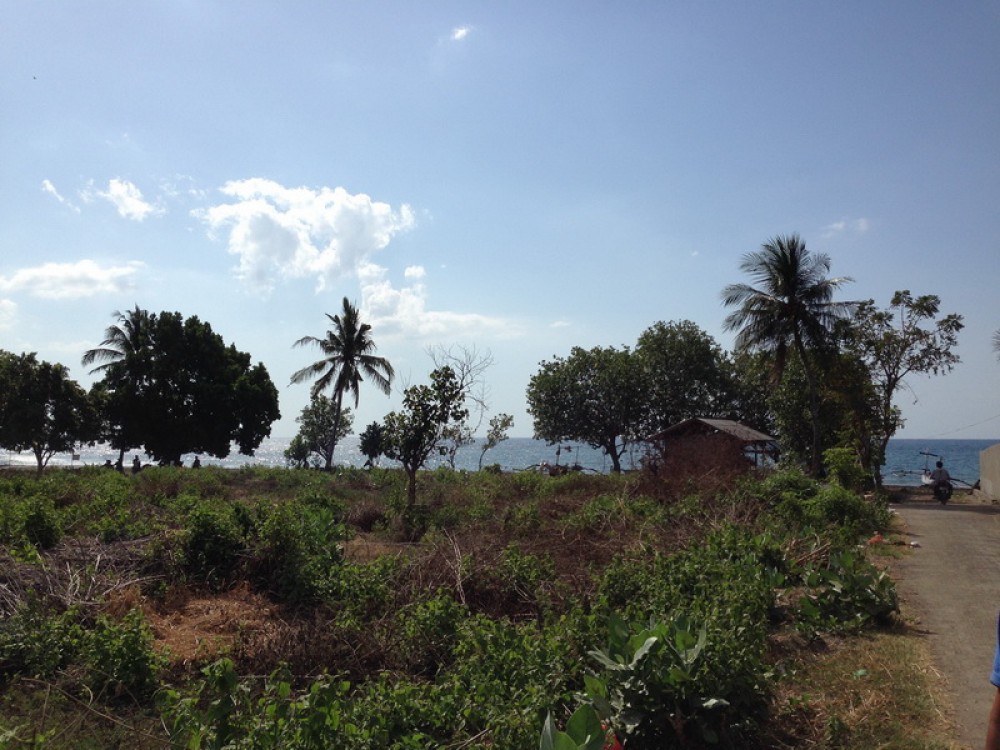 Reduced Price Stunning 53.5 Are Residential Beachfront Land in Lovina for Sale 