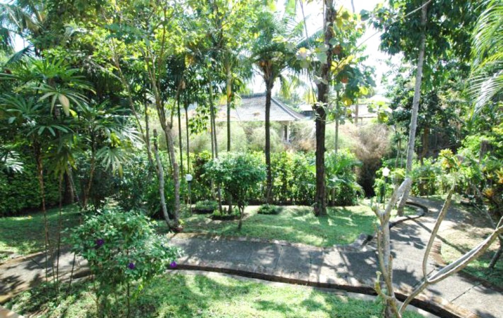 Beautiful Balinese Villa for Sale in Canggu