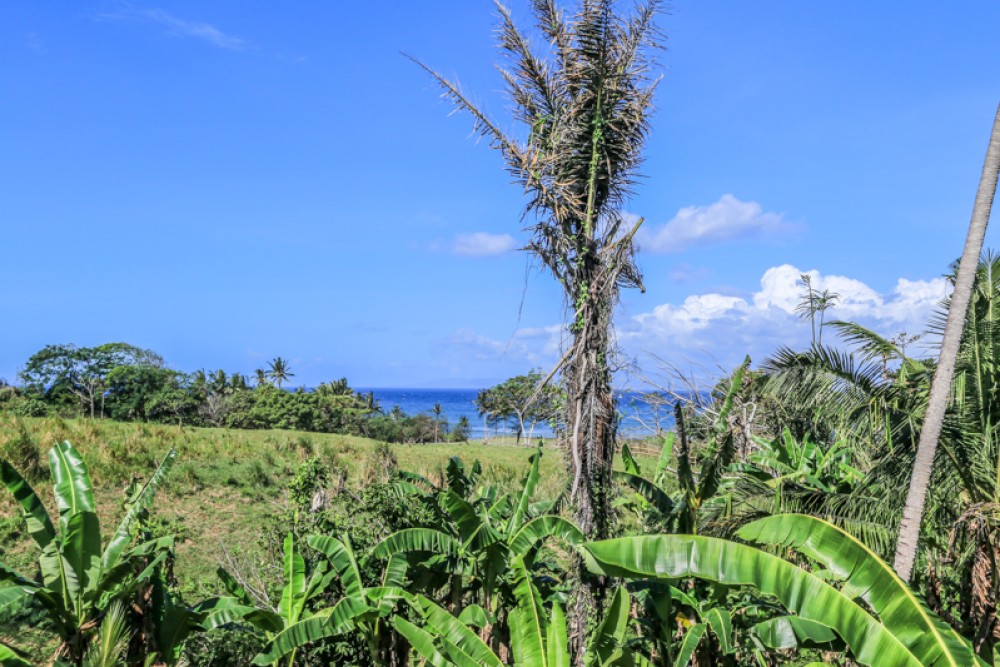 Amazing Cottages With Ocean View for Sale in Gianyar