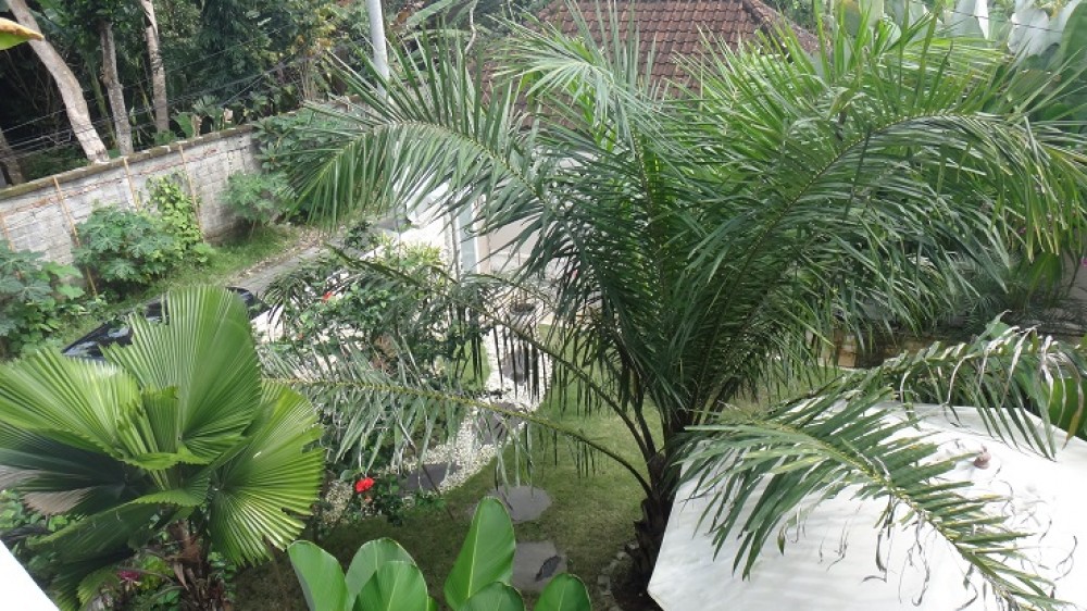 2 BEDROOMS VILLA SITUATED  IN STRATEGIC AREA OF UBUD    