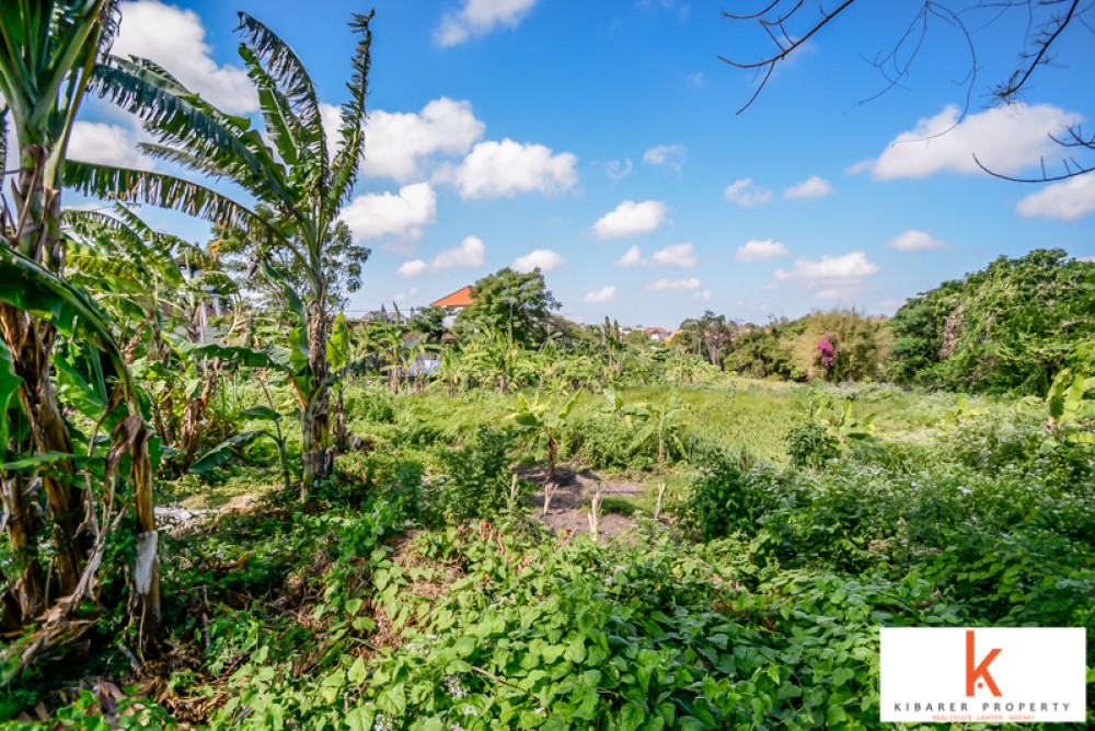 Plot sewa tanah besar di Umalas Tunon