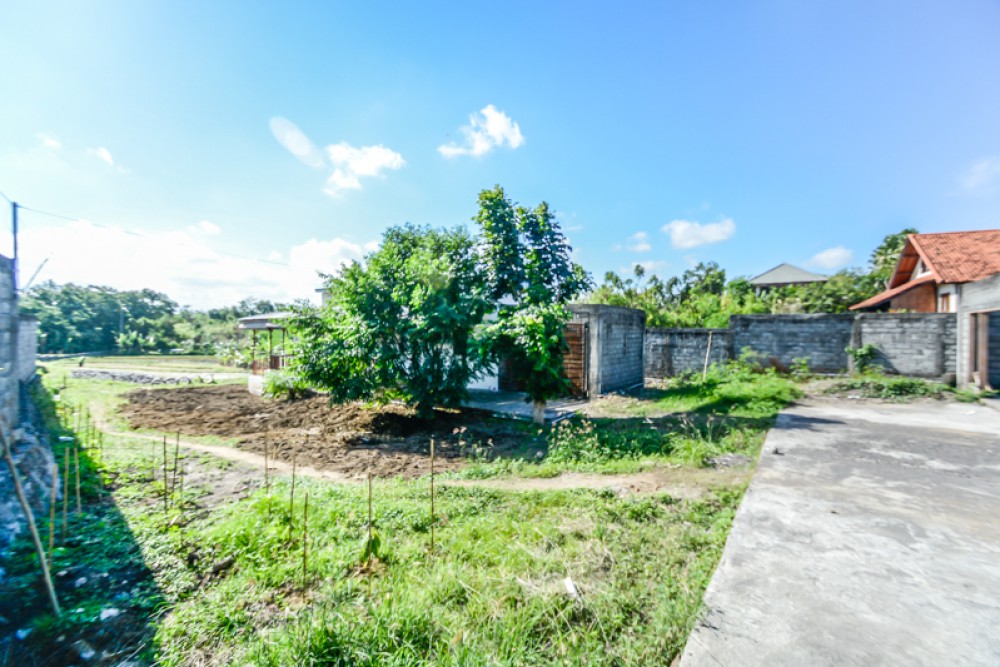 Peluang bagus, sewa lahan panjang dengan pemandangan sawah