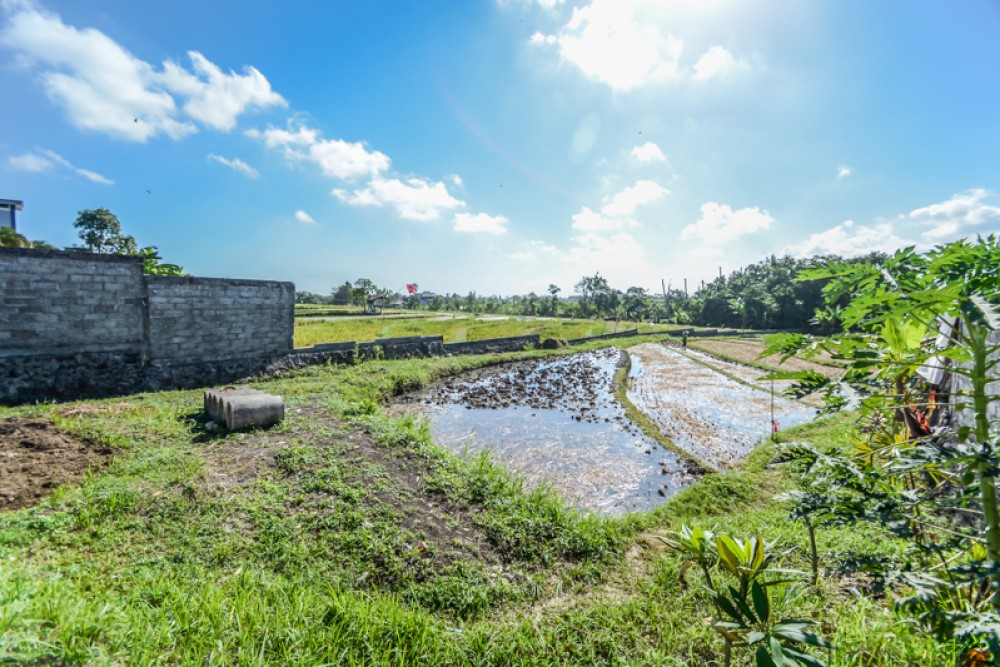 Peluang bagus, sewa lahan panjang dengan pemandangan sawah