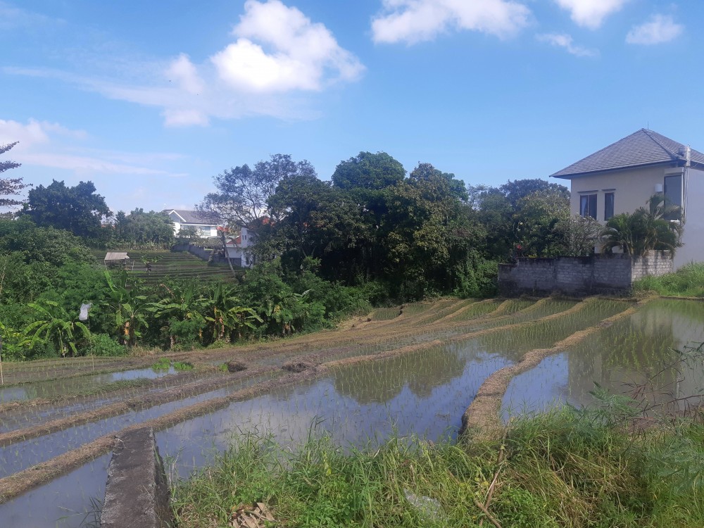 Nice Residential Plot 7.5 are for Leasehold in Canggu