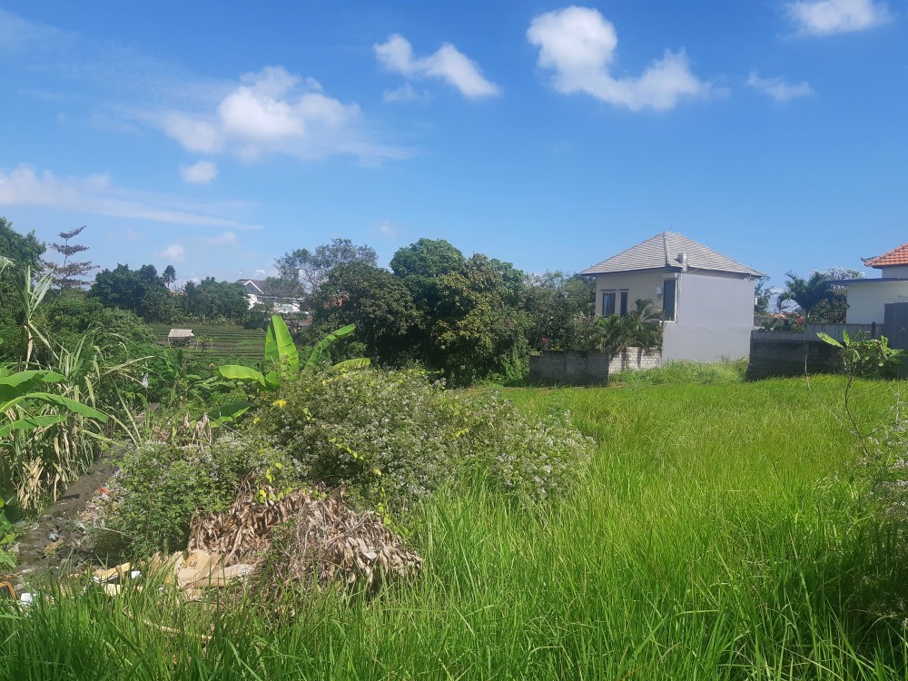 Nice Residential Plot 7.5 are for Leasehold in Canggu