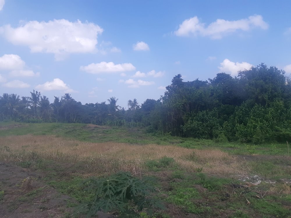 Plot Nice Dengan Pemandangan Sungai