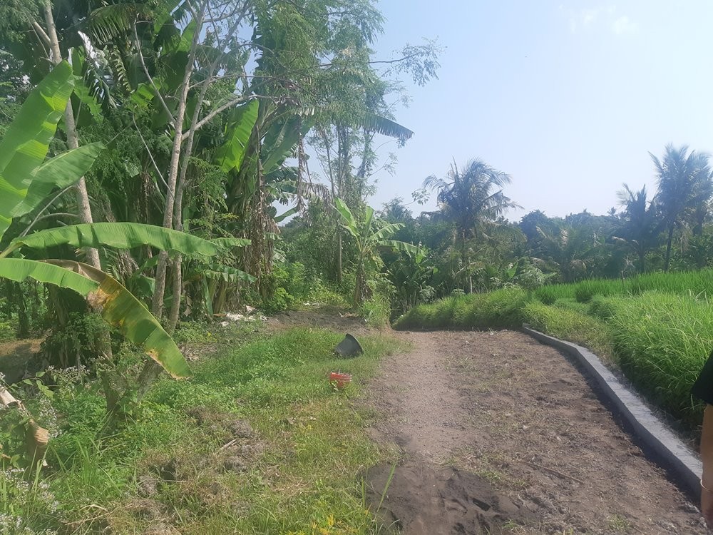 Nice Plot With a River View