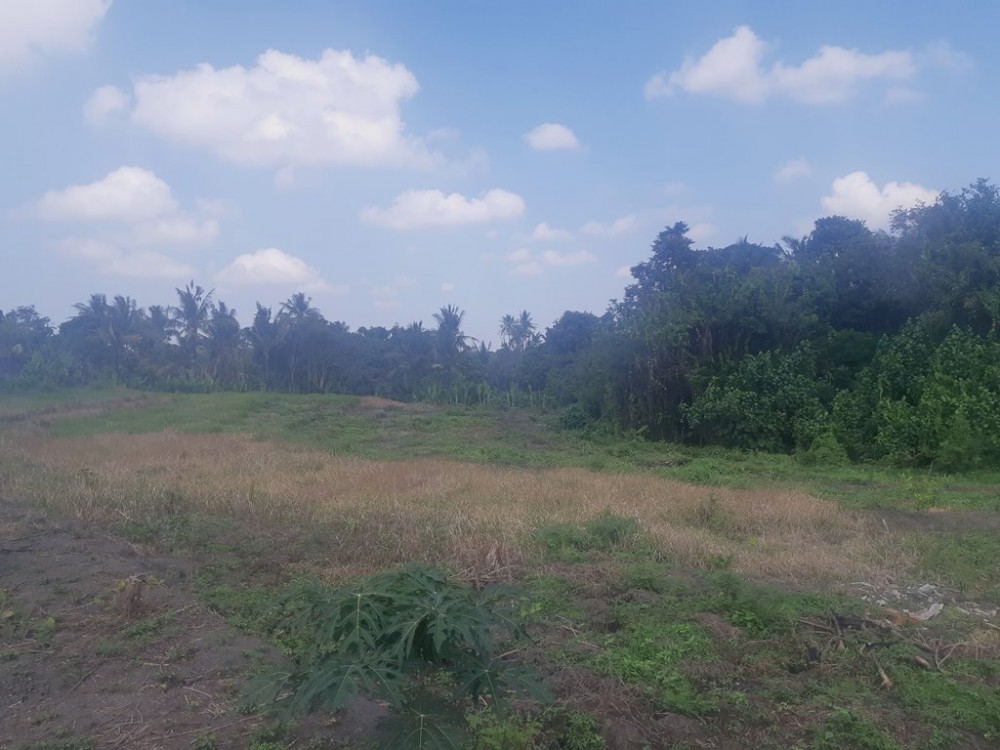 Plot Nice Dengan Pemandangan Sungai