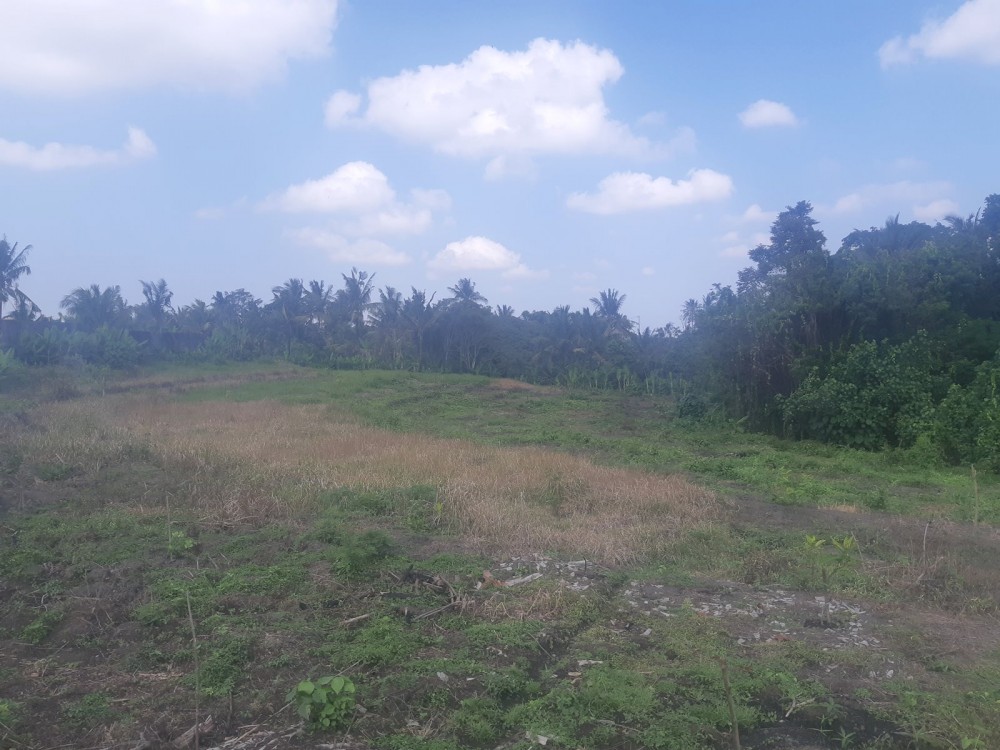 Plot Nice Dengan Pemandangan Sungai