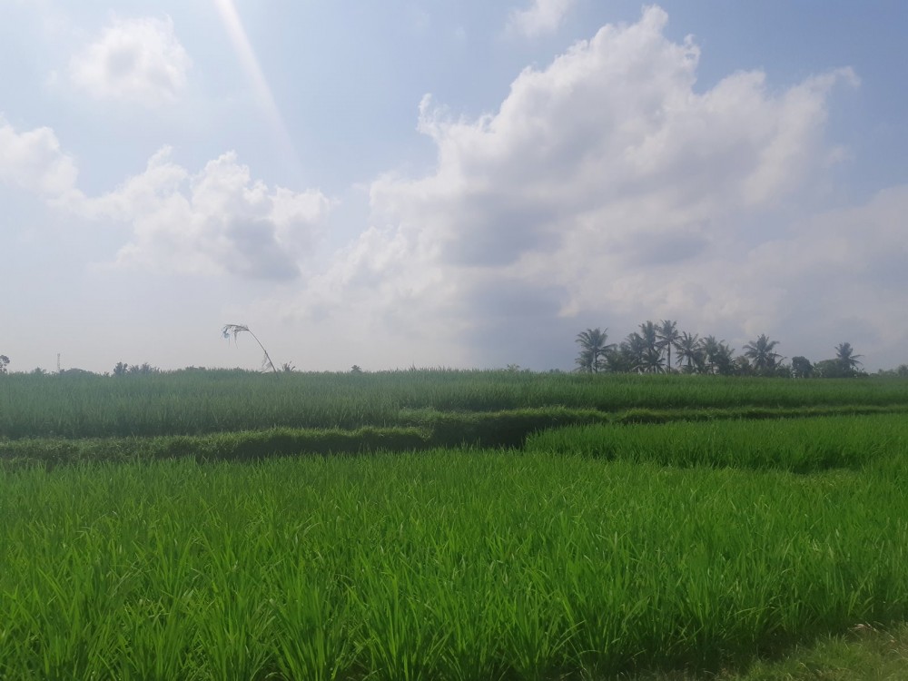 Plot Nice Dengan Pemandangan Sungai