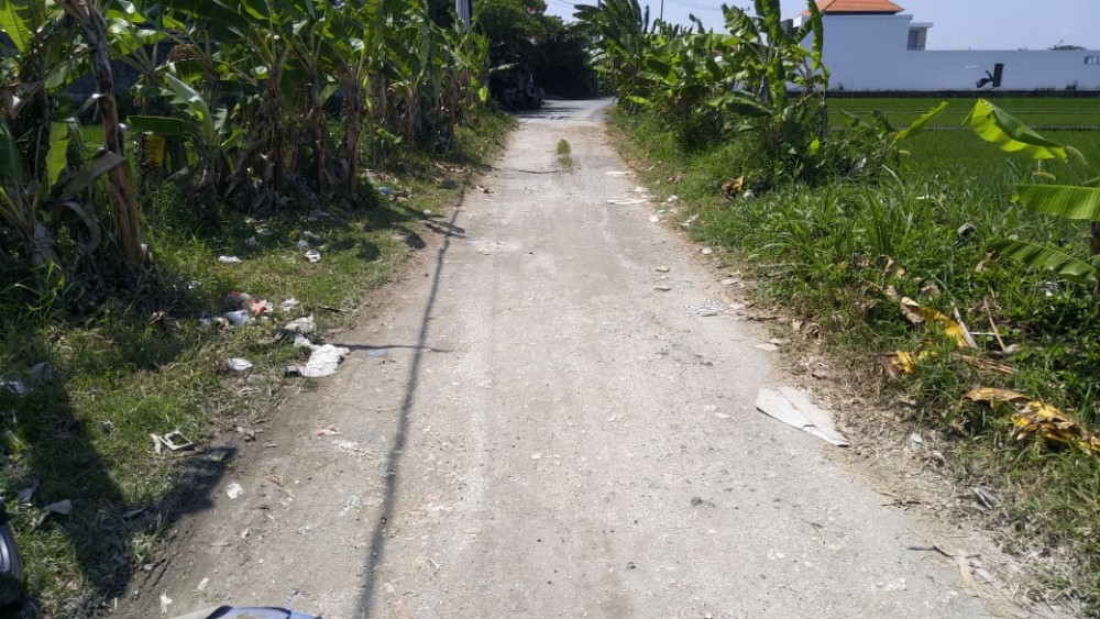 26 Are Amazing Land for Lease in Kayu Tulang