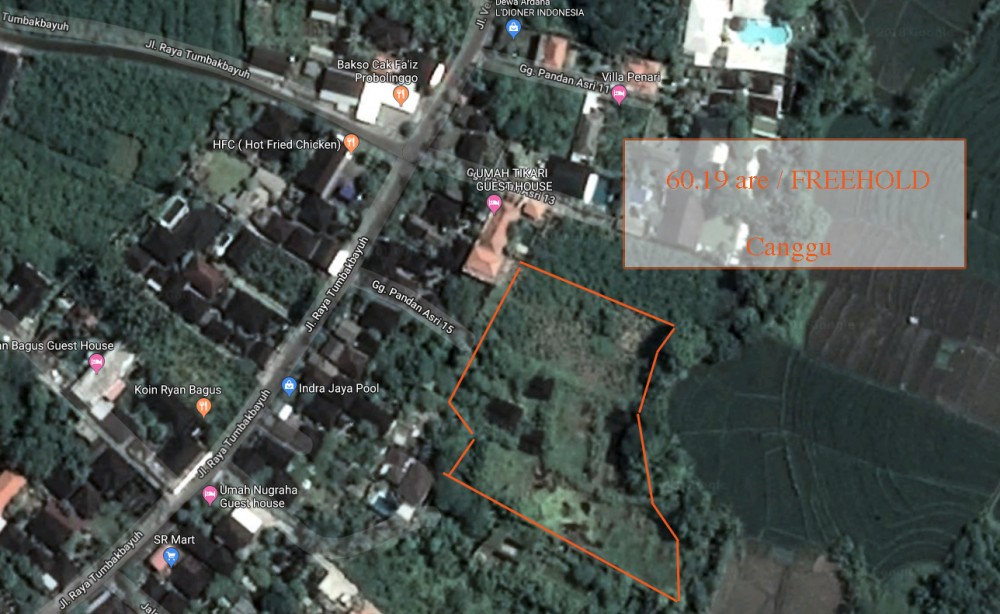 Amazing Spacious Freehold Land for Sale in Canggu