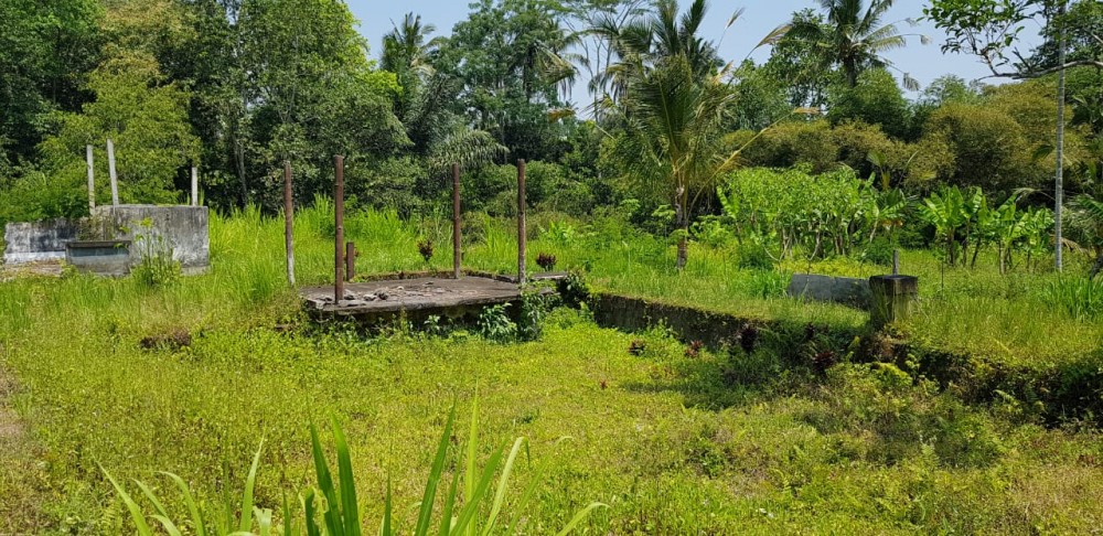 The best oppurtunity to built the new resort or villa complect in north of Ubud 