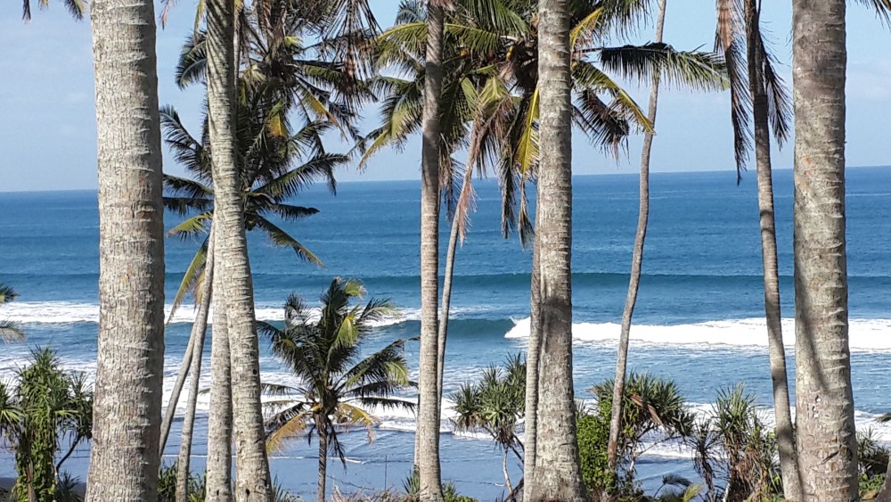 Terrain en toute propriété à vendre au bord de la plage