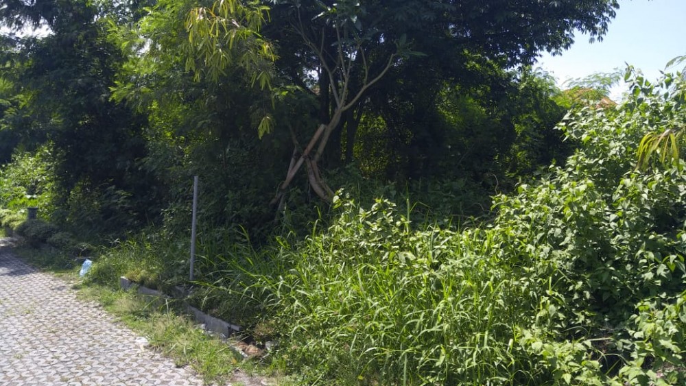 Prime Location Land for Lease in Canggu