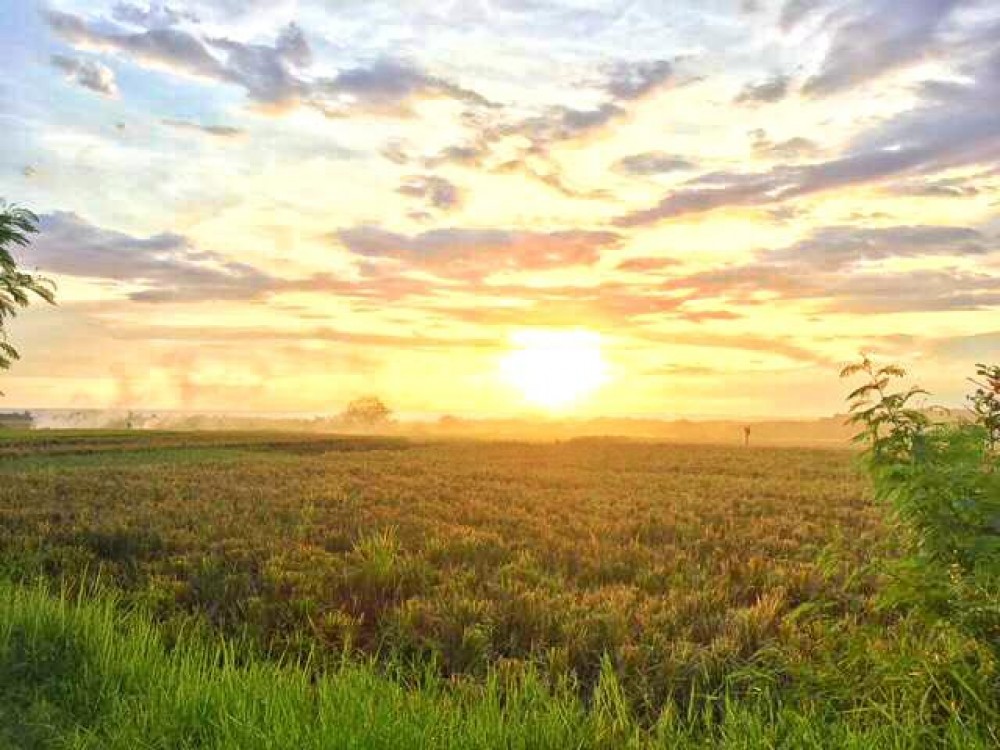 Sunset Menakjubkan Melihat Tanah