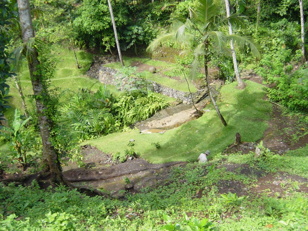 Beau terrain avec vue sur la rivière à vendre à Tabanan