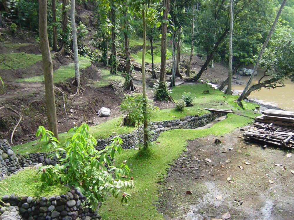 Beau terrain avec vue sur la rivière à vendre à Tabanan