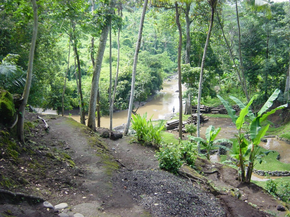 Beau terrain avec vue sur la rivière à vendre à Tabanan
