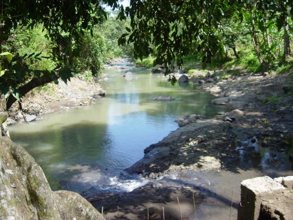 Beau terrain avec vue sur la rivière à vendre à Tabanan