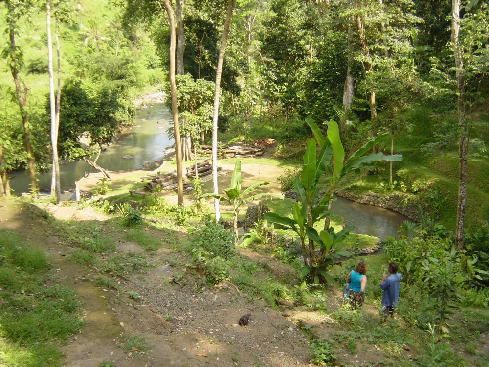 Beau terrain avec vue sur la rivière à vendre à Tabanan