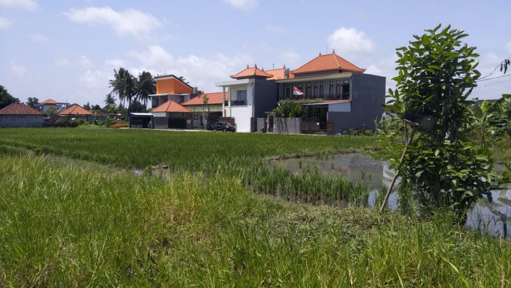 Amazing Land for Lease in Munggu 