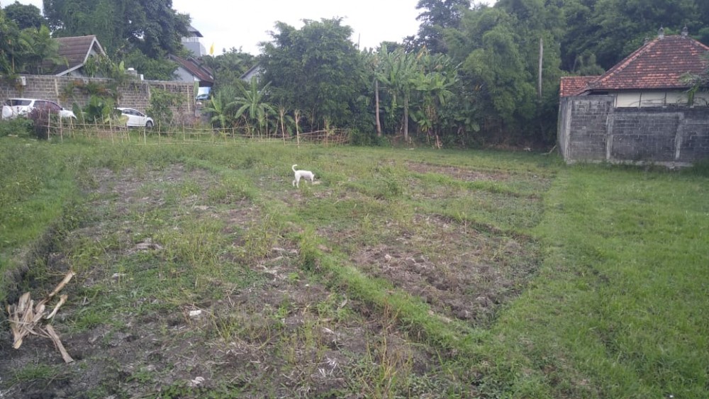 Rare Small Plot Land for Sale In Umalas Kibarer Property