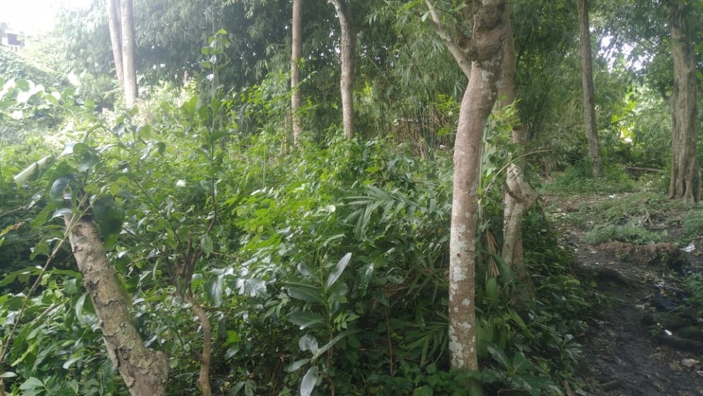 Cukup 5 TANAH DIJUAL DI KEROBOKAN