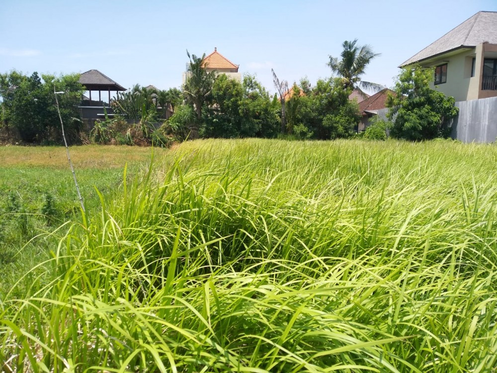 Ideal Berawa 7 are Leasehold Land