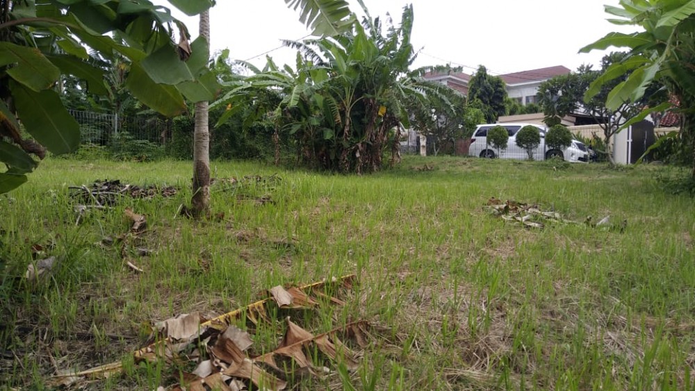 Tanah Hot Plot Dijual di Berawa