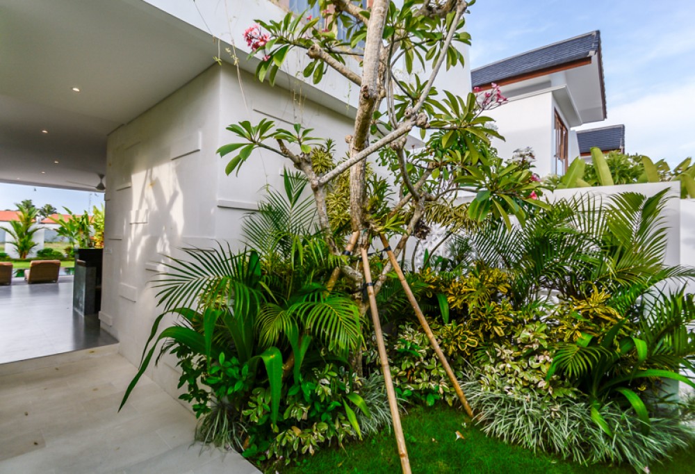 Charmante villa de trois chambres à coucher à vendre à Prime Location de Seminyak