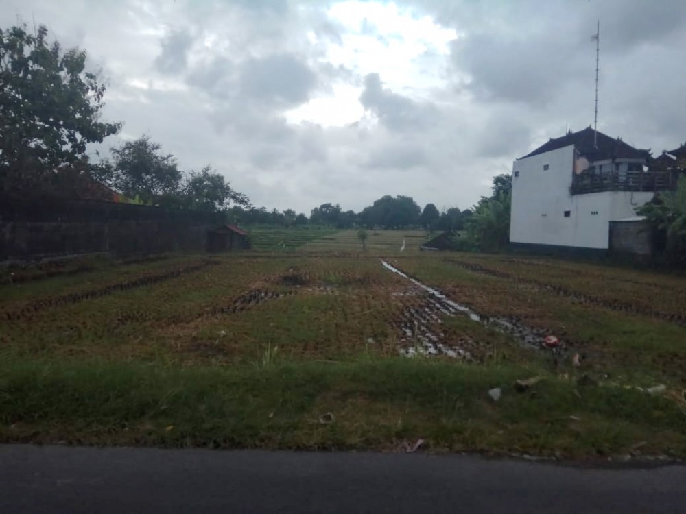 Perfect Small Plot for Lease in Tiying Tutul 